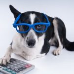 Eakub Khan’s Under-Utilized Pet Tax Deductions