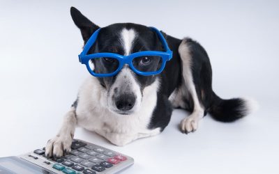 Eakub Khan’s Under-Utilized Pet Tax Deductions
